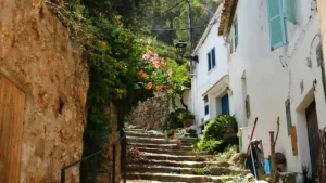 Walk through the Serra de Tramuntana