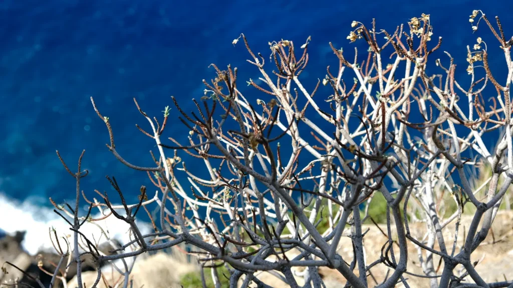 Relax and reconnect with nature (Mallorca, Balearic Islands)
